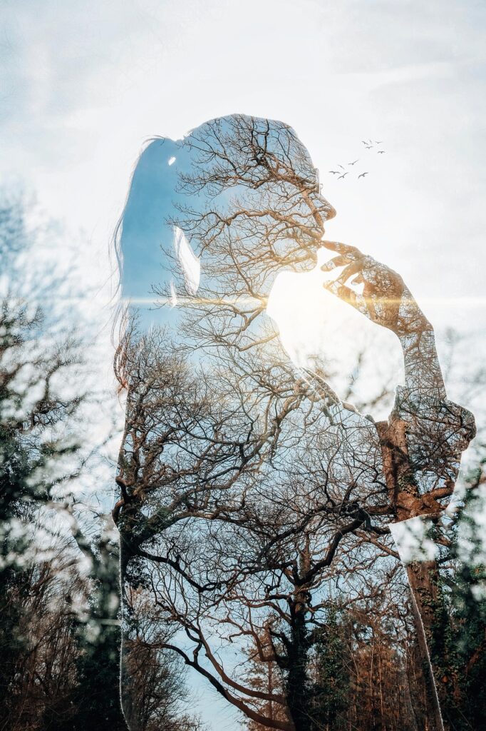 nature, forest, girl, woman, young, female, person, sunlight, forest, forest, girl, girl, girl, girl, girl, female, female, person, person, sunlight