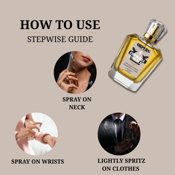Euphoria Essence | Fresh–Woody Luxury Unisex | Extrait de Parfum - Image 5
